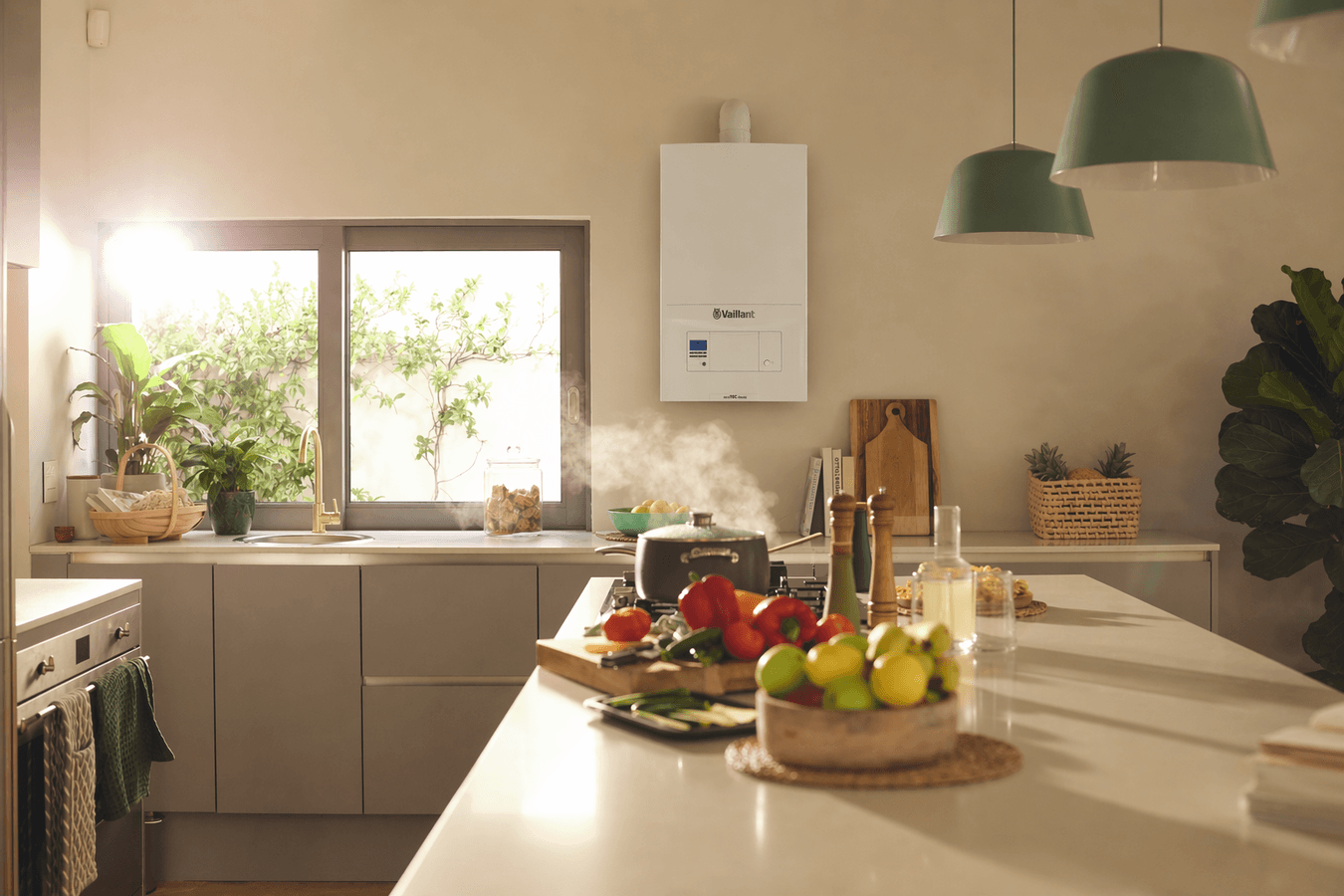 ecoTEC classic scene view