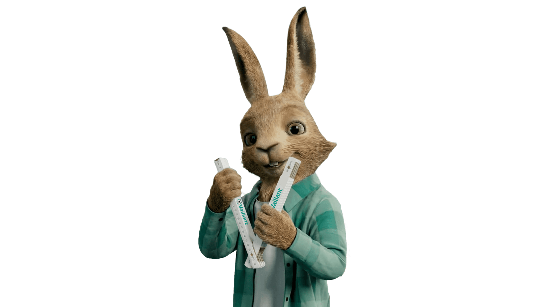 Vaillant haas houdt een duimstok vast