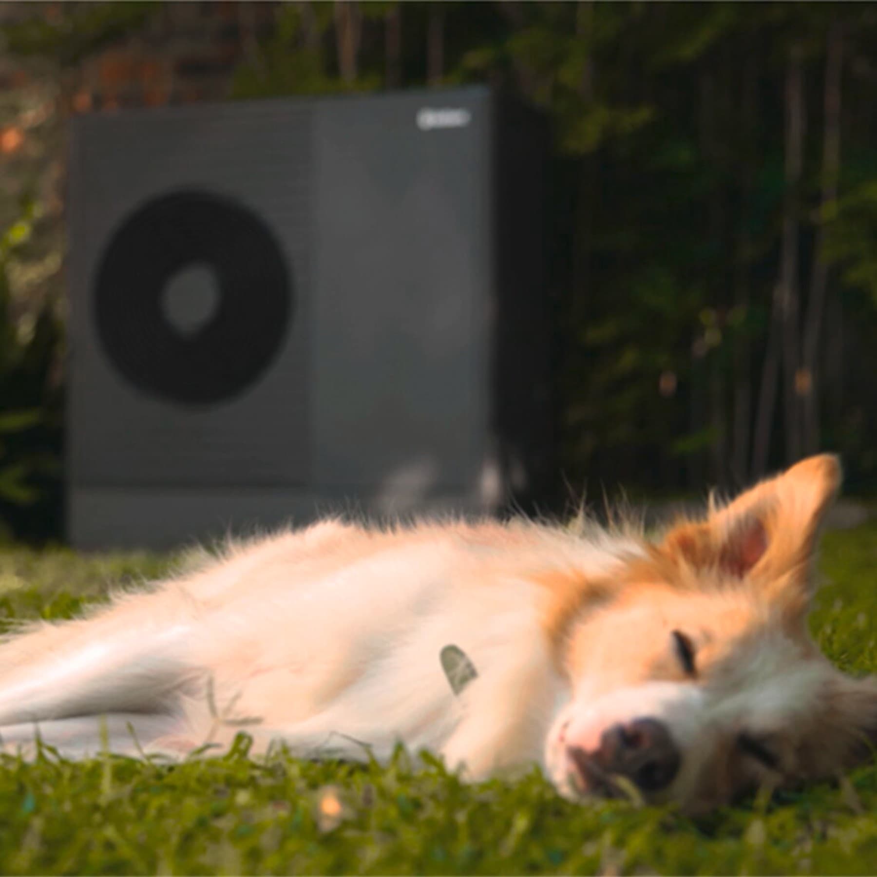 Hond slaapt voor een warmtepomp van Vaillant