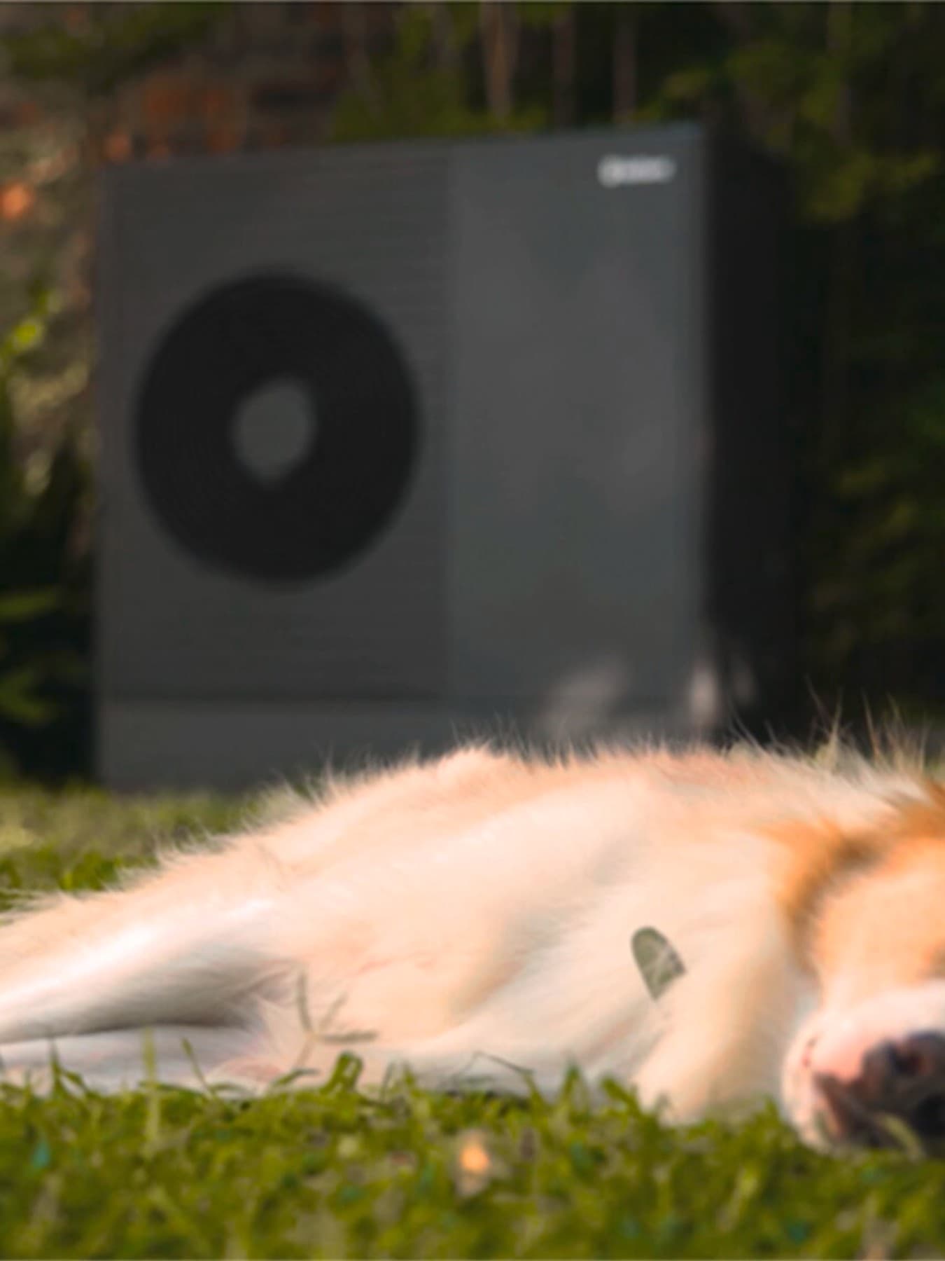 Hond slaapt voor een warmtepomp van Vaillant