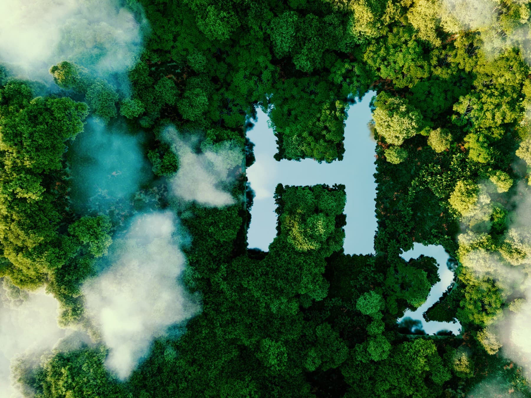 Bos met een waterstofsymbool erin