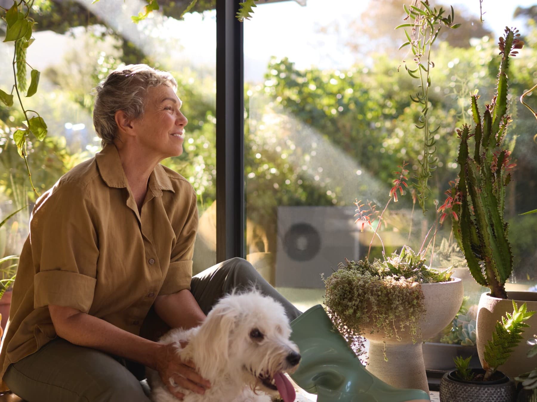 Vogelperspectief van een tuin