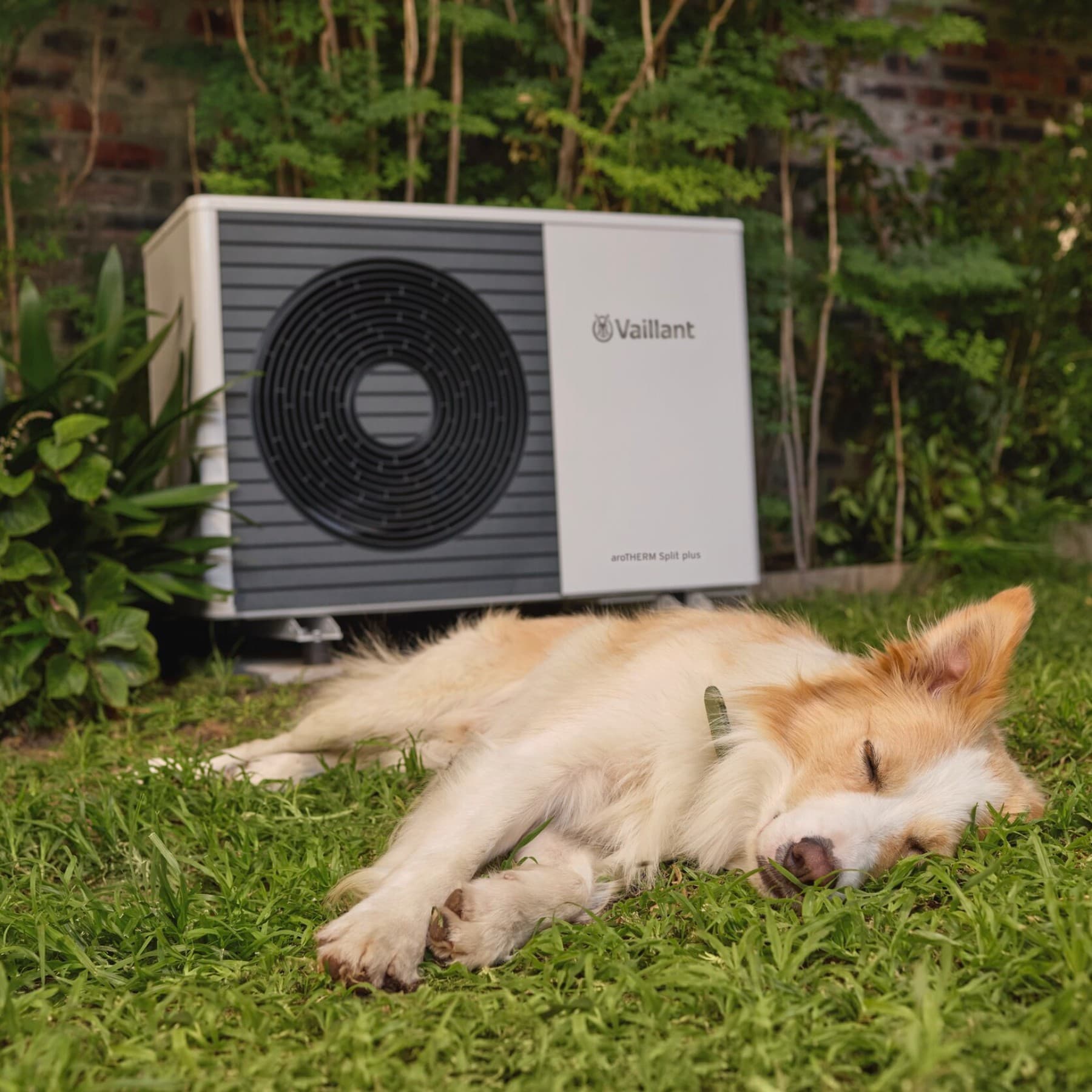 Een hond die voor een warmtepomp slaapt