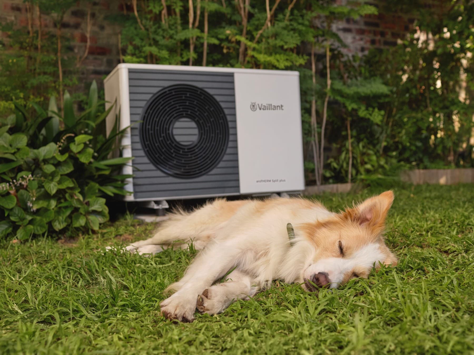 Hond slaapt dicht bij warmtepomp