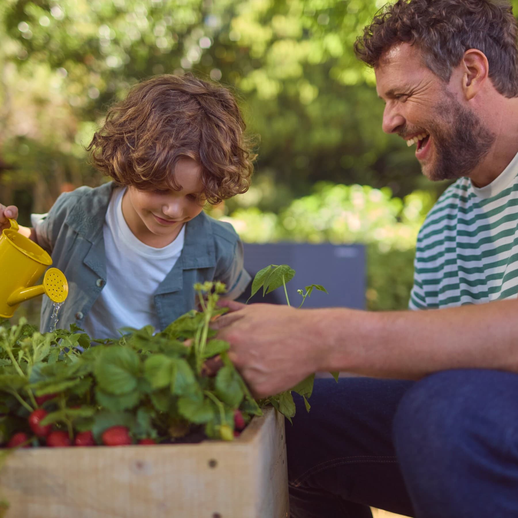 Vader geeft samen met zijn zoon radijsjes water.