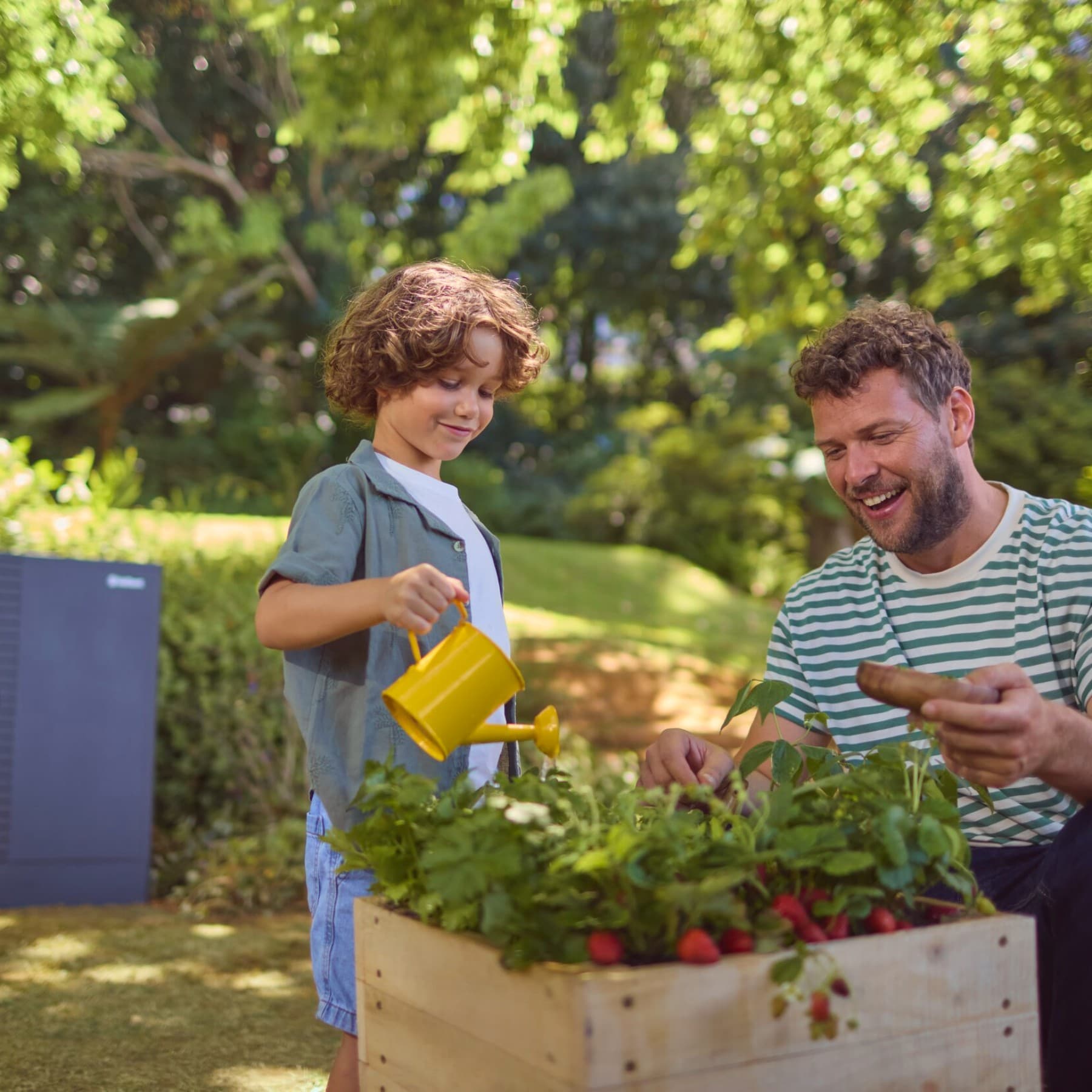 Vader en zoon geven radijsjes water in de tuin