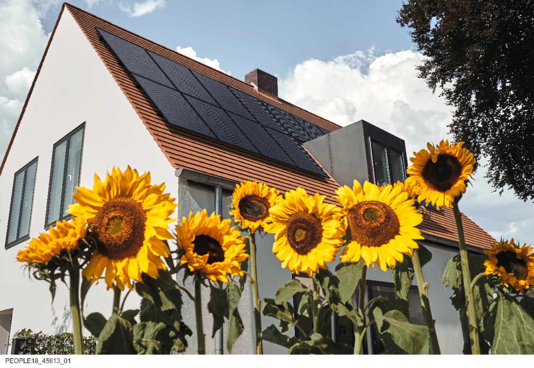Achter grote zonnebloemen staat een huis. Op het dak zijn zonnepanelen geïnstalleerd om zonne-energie te gebruiken voor elektriciteit.