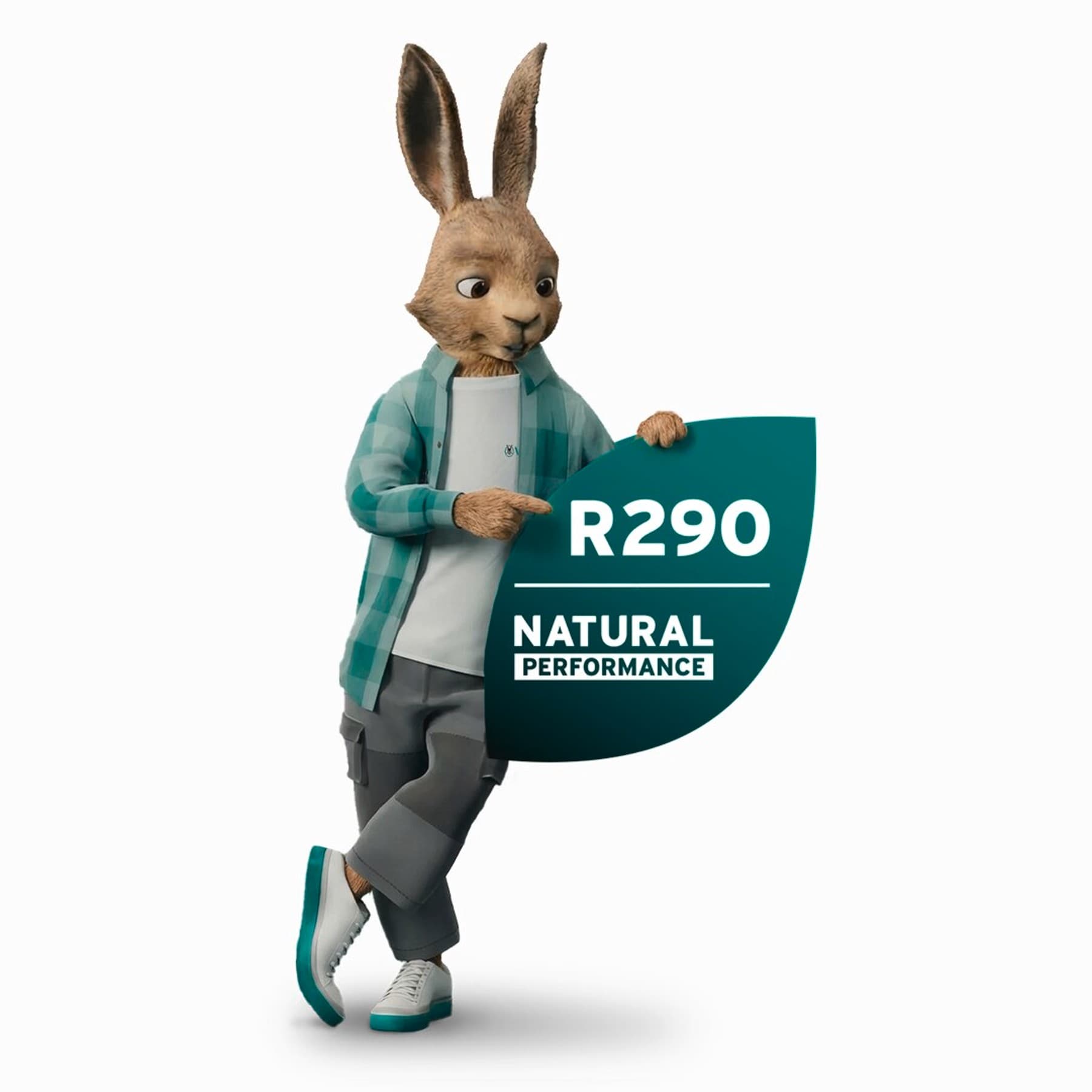 Vaillant hare with R290 signet