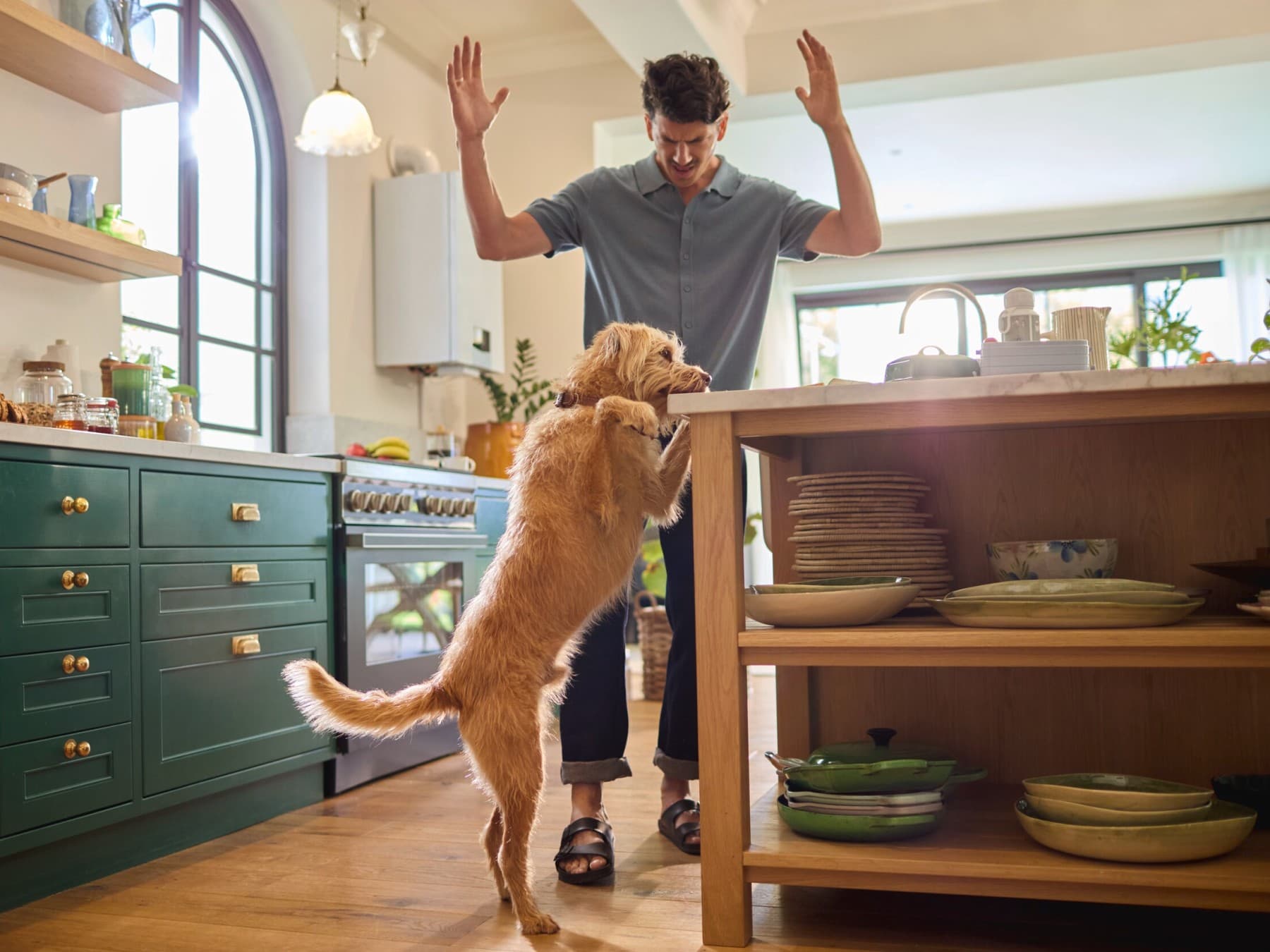 man en hond in een keuken met ecoTEC plus cv-ketel op de achtergrond